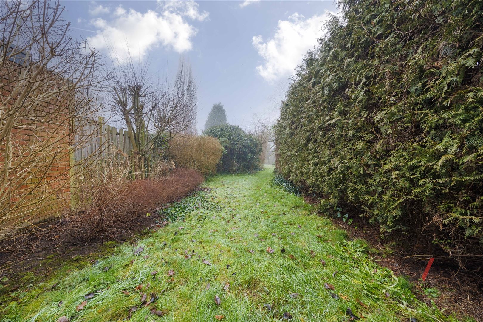 Charmante woning met ruime tuin foto 19