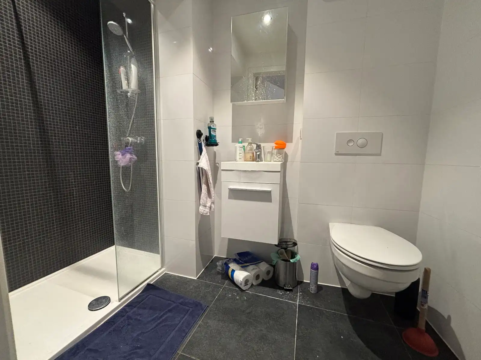 Kamer eigen sanitair en terras - Central Park  foto 3