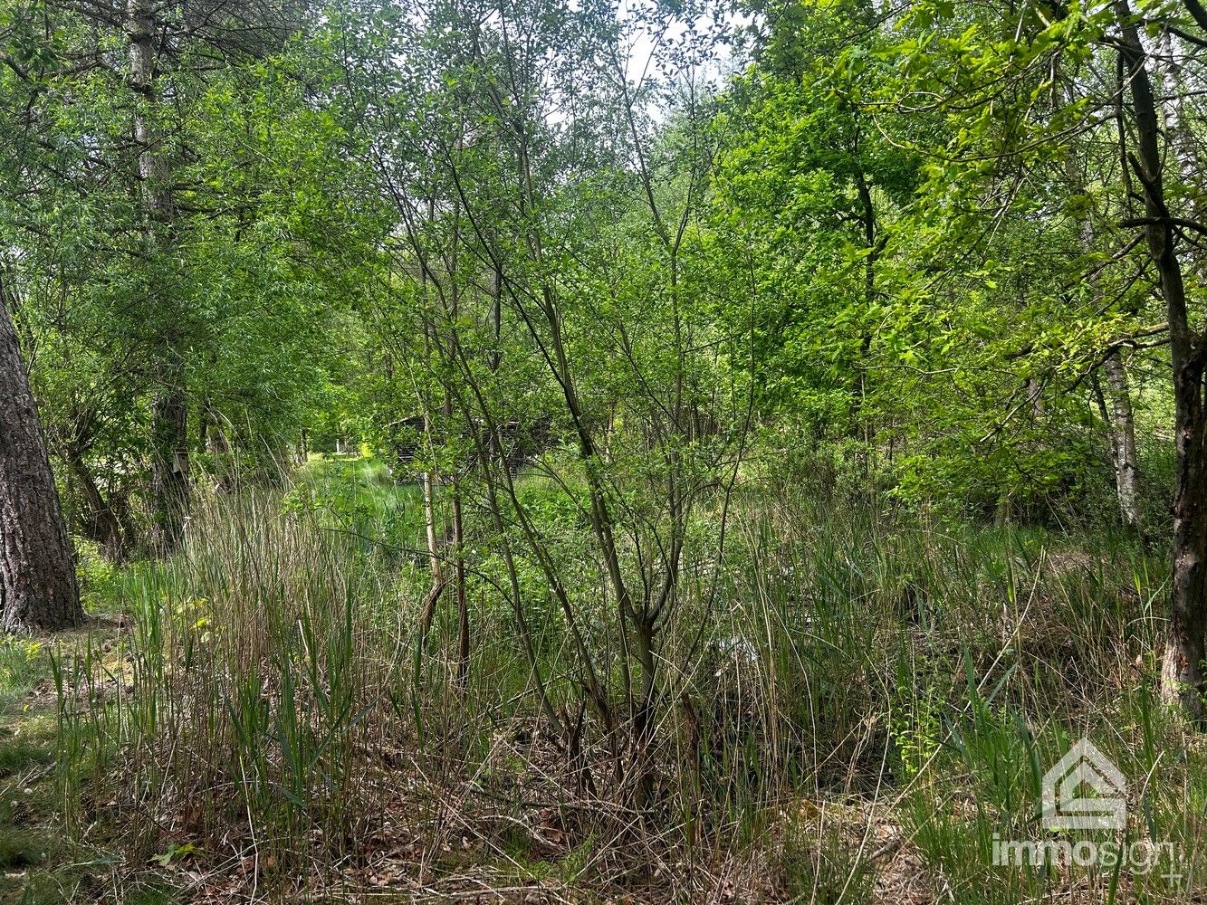 Uniek stukje natuurgebied van 1.470 m² gelegen te Hamont-Achel! foto 14