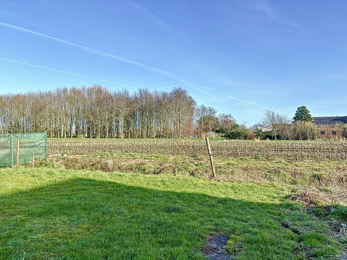 Landelijk gelegen woning te Adegem - Maldegem foto 2