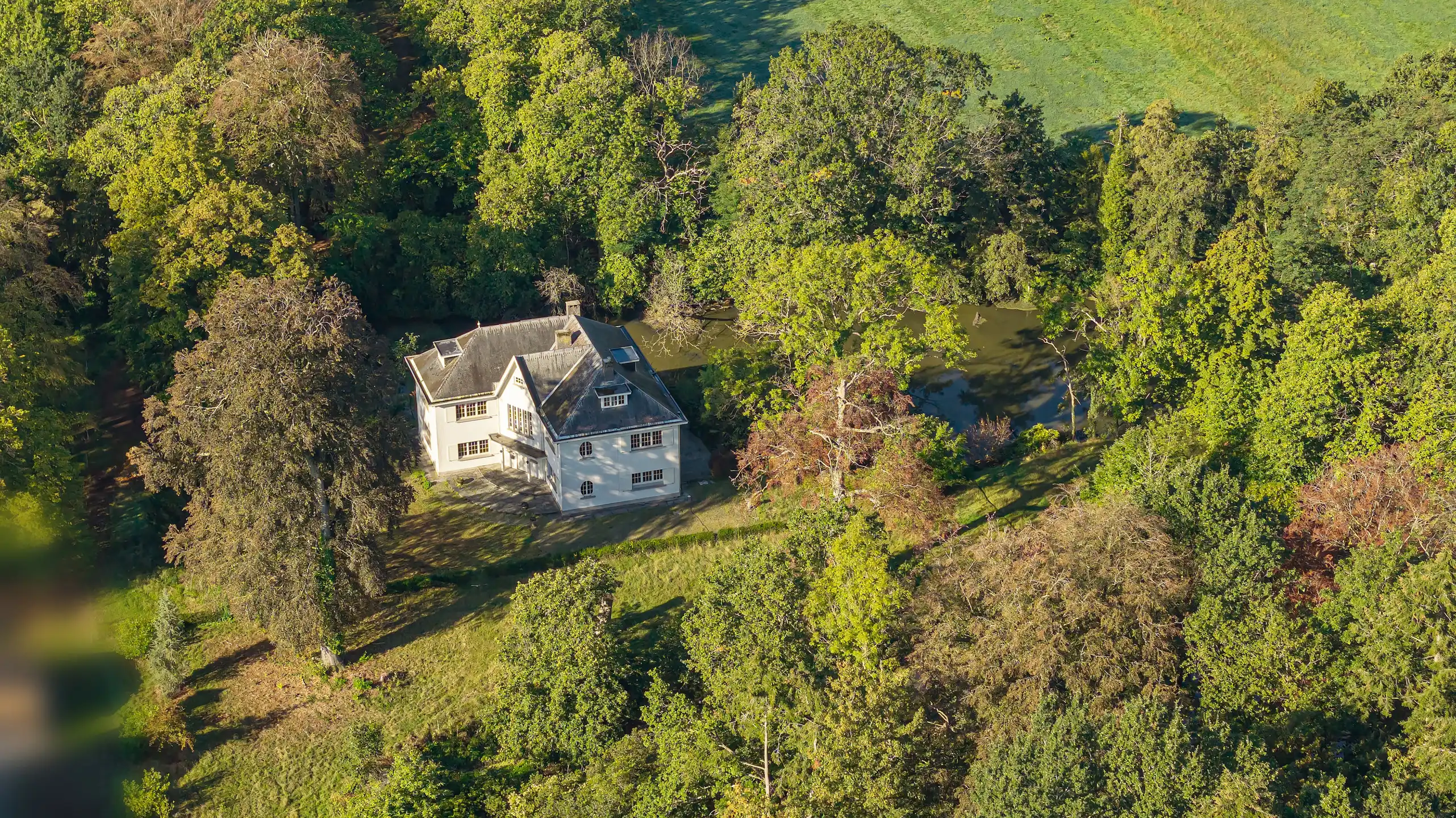 Hoofdfoto van de publicatie: Uitzonderlijk landhuis op historisch parkdomein van ca. 2,68 ha in Blaasveld.