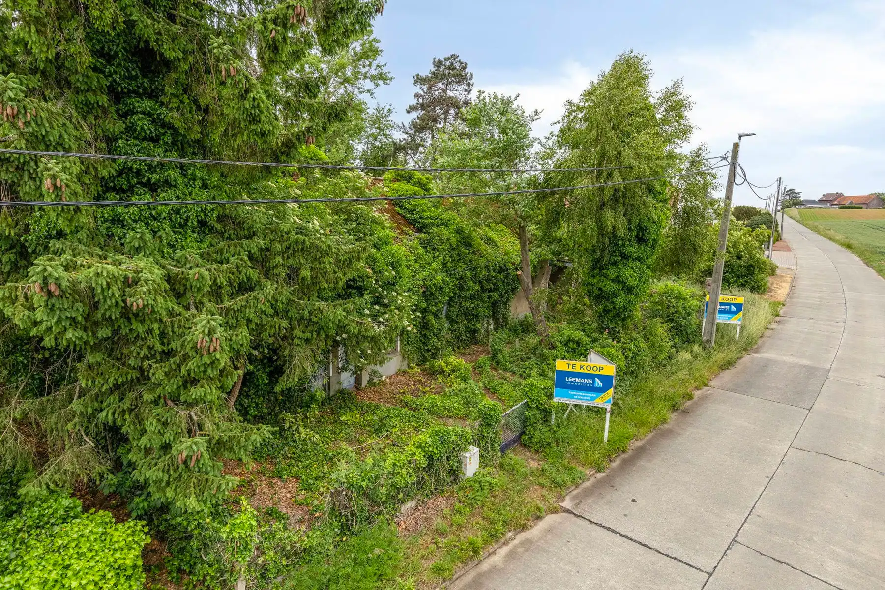 PROJECTGROND/BOUWGROND TE KOOP REGIO ASSE (Bekkerzeel) foto 2