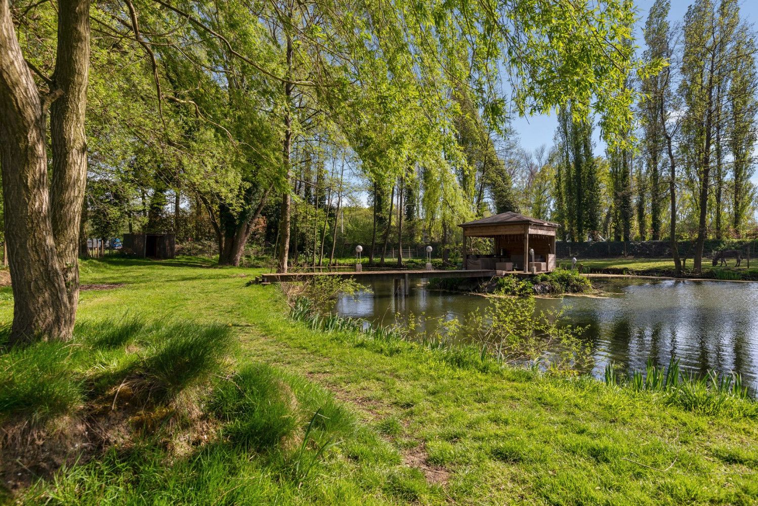 CHARMANTE HOEVE OP PERCEEL VAN 5.808 m²! foto 20