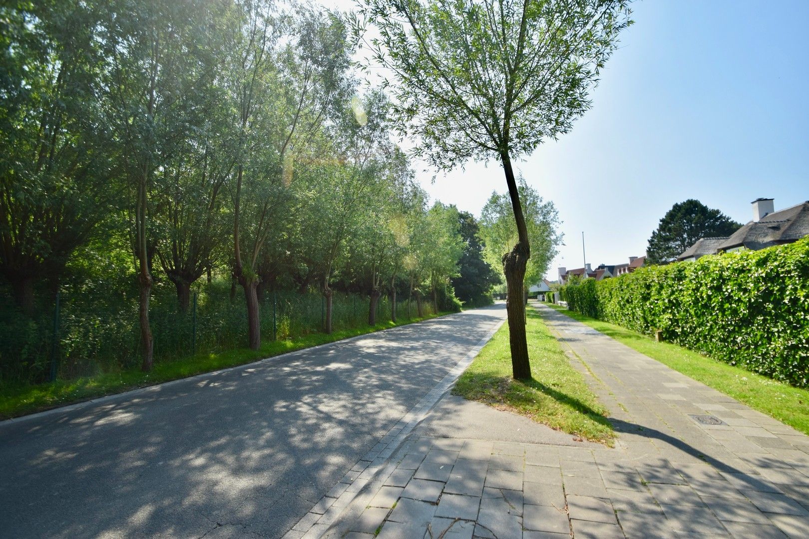 Bouwgrond voor alleenstaande villa nabij de Magere Schorre en de Kalfmolen. foto 5