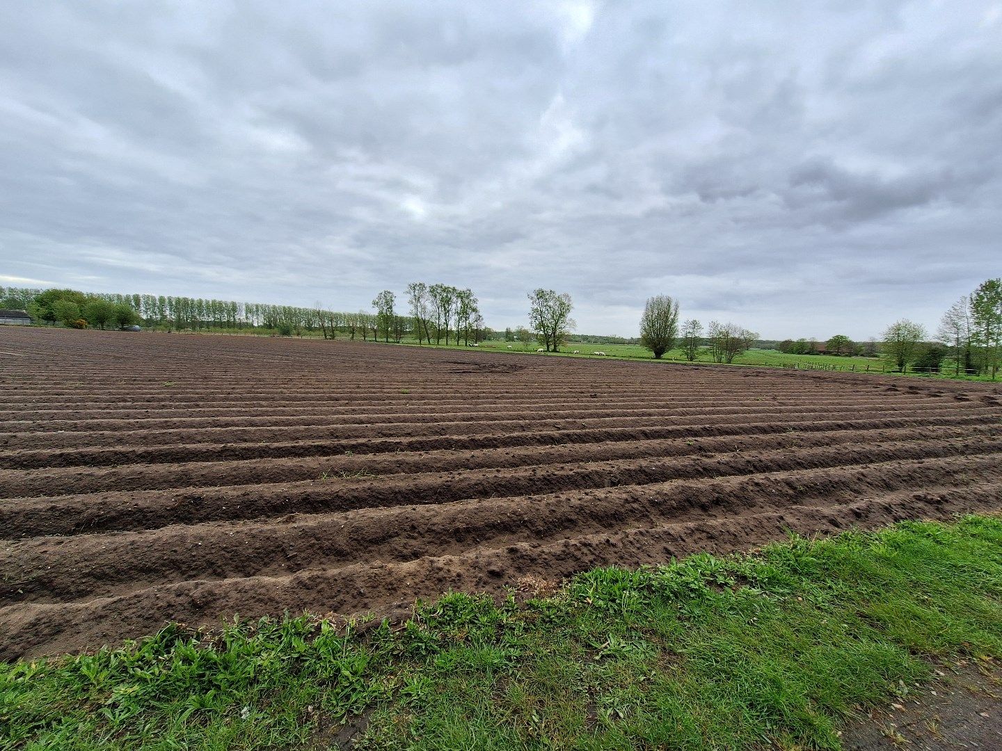 Perceel bouwgrond in landelijke omgeving - zonder bouwverplichting! foto 8