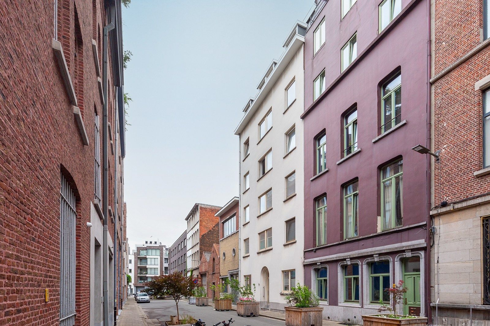 Wonen tussen stad, sfeer en Schelde foto 17
