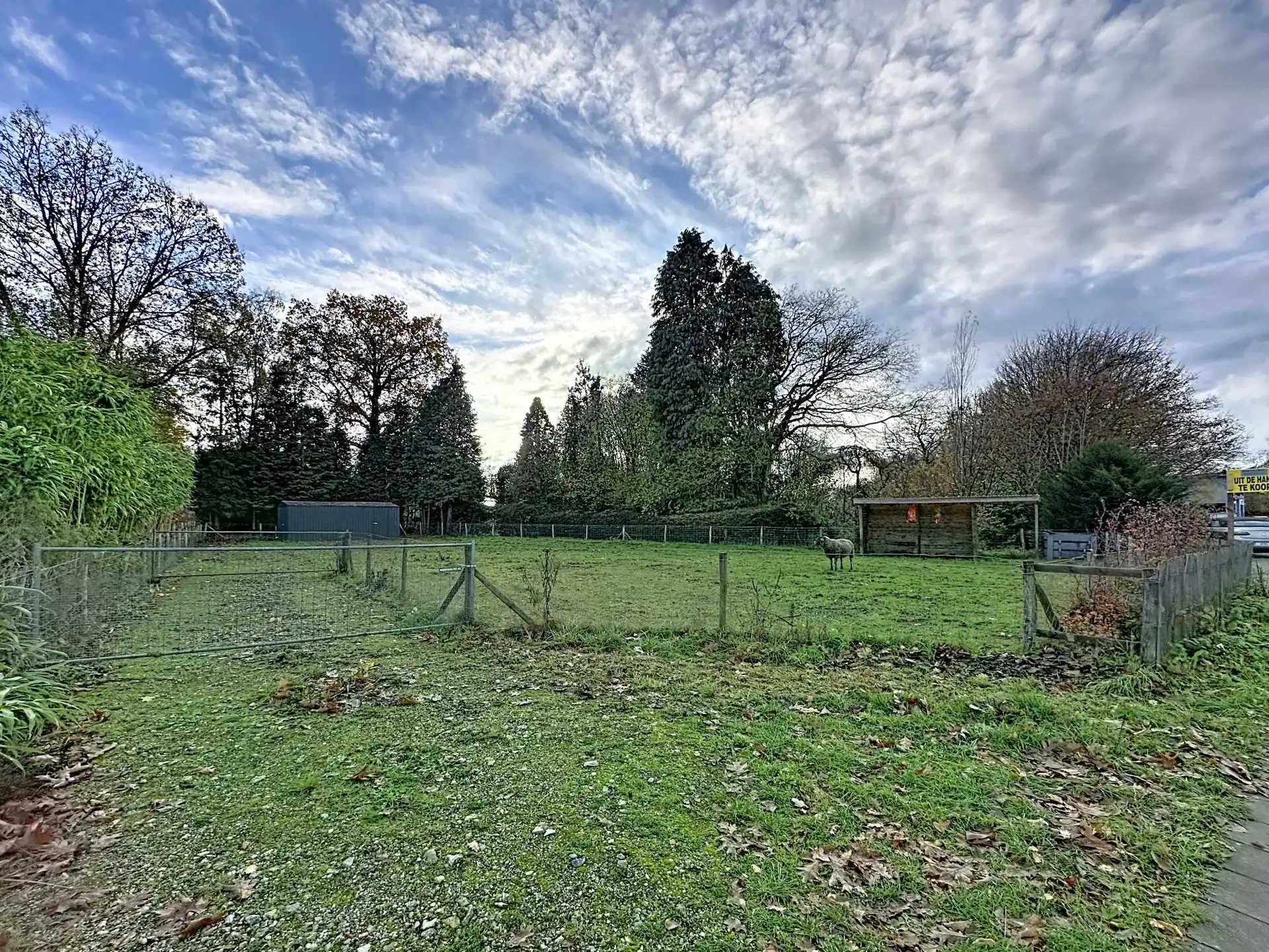 Bouwgrond voor open bebouwing te Mol-Gompel van 7a18ca. foto 2