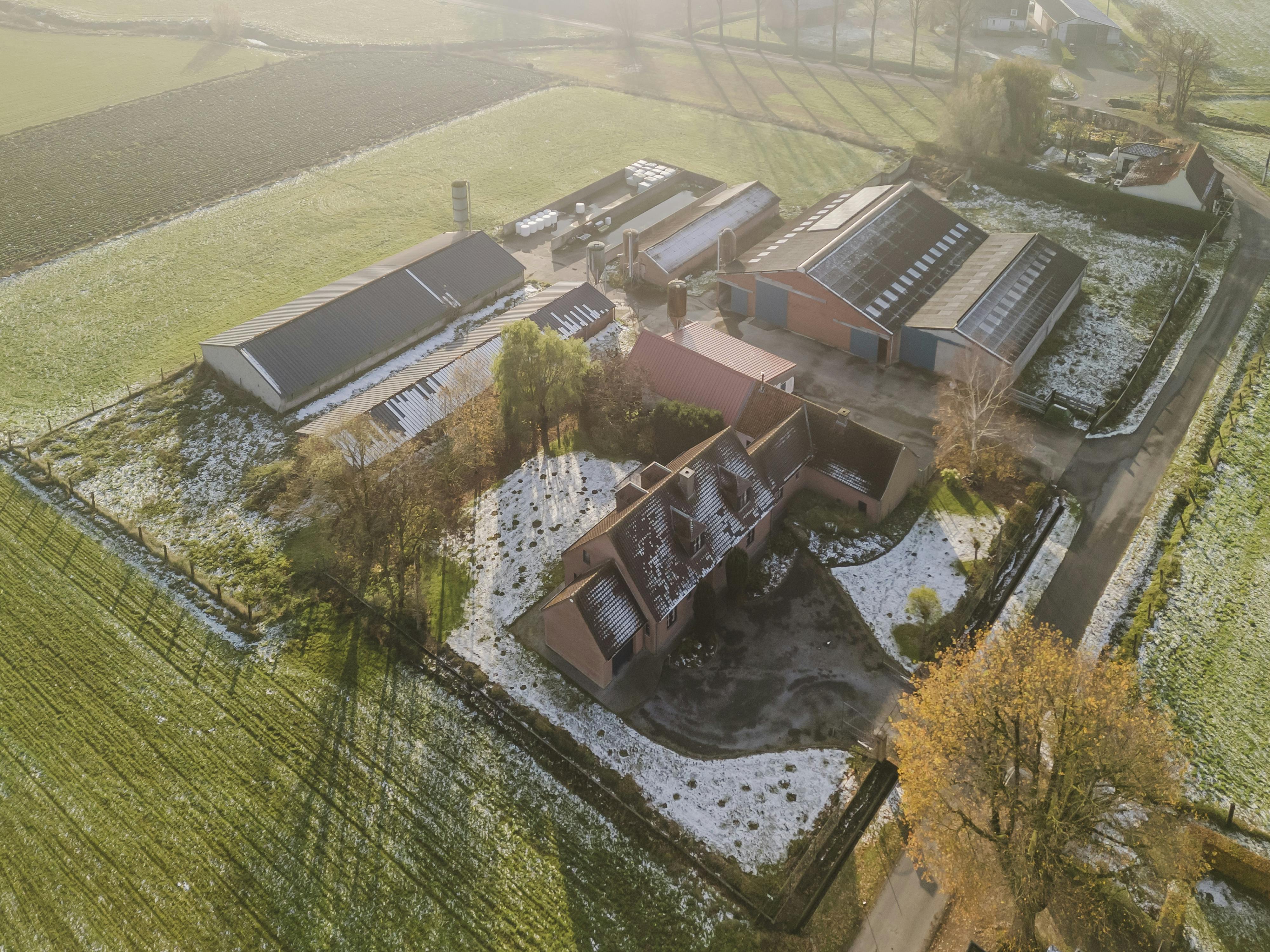 Villa met stallingen te koop op een ruim perceel van  10.026m² foto {{pictureIndex}}