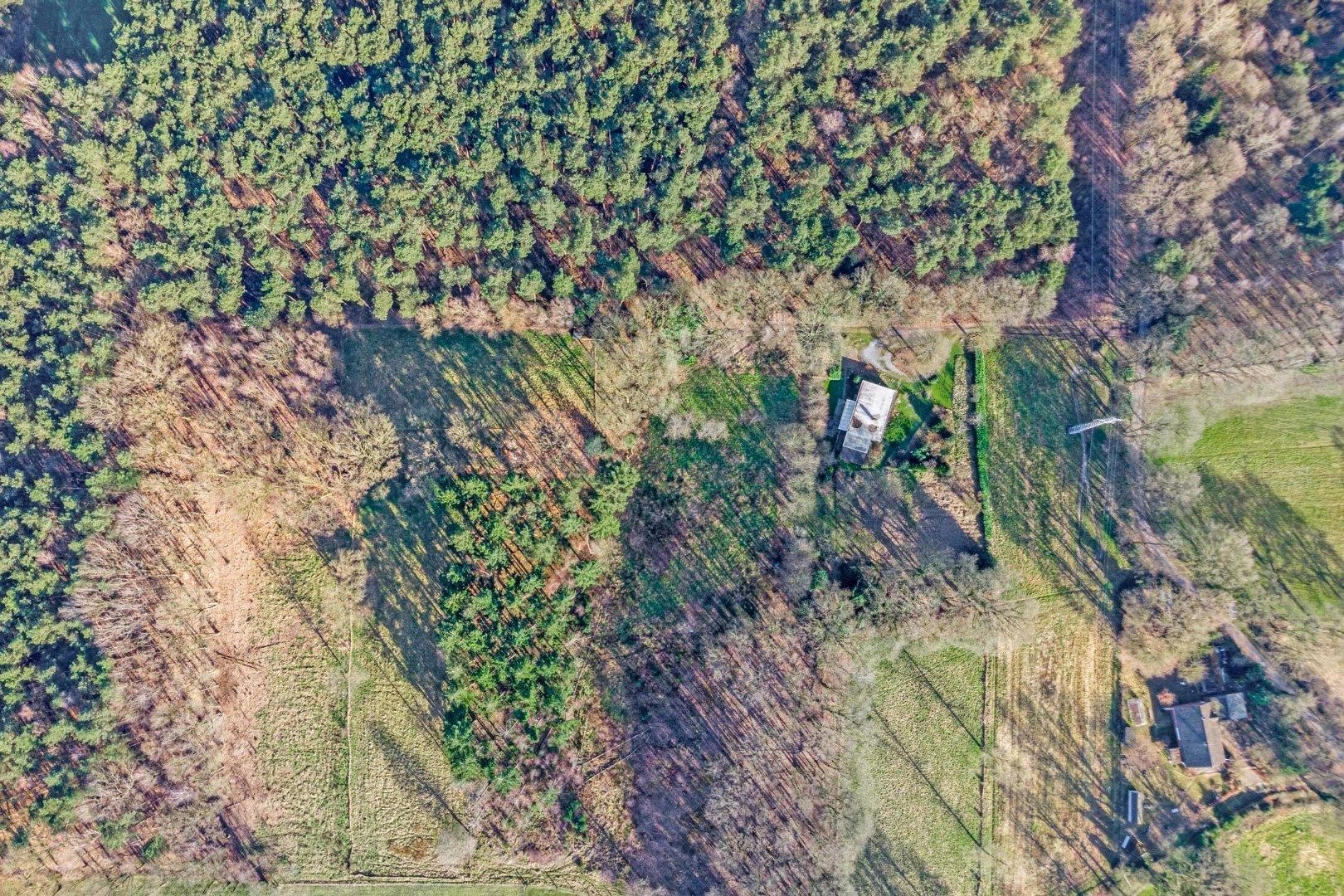 Unieke woonst op 360 are: rust, natuur en eindeloze mogelijkheden! foto 2