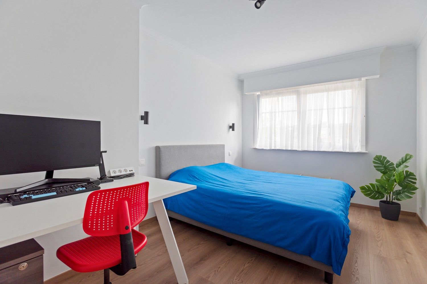 Gerenoveerde ruime HOB met 4 slaapkamers, zonnige tuin, oprit en garage in Borsbeek! foto 12