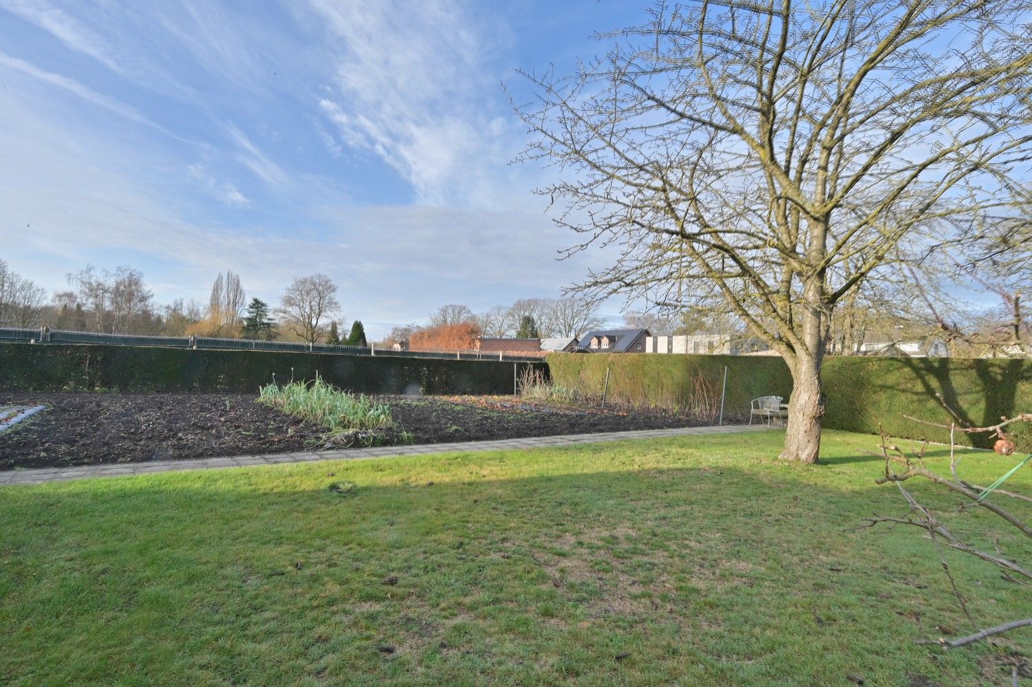 Charmante split-level bungalow met tuinkamer en uitstekende energieprestatie (label B) foto 9