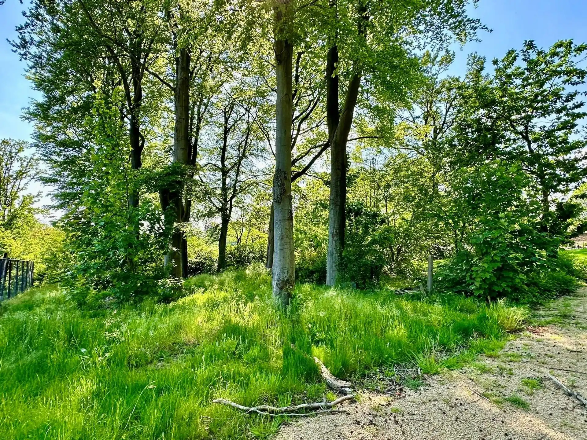 Mooie BOUWGROND voor VILLA, pal in het KLUISBOS! foto 3