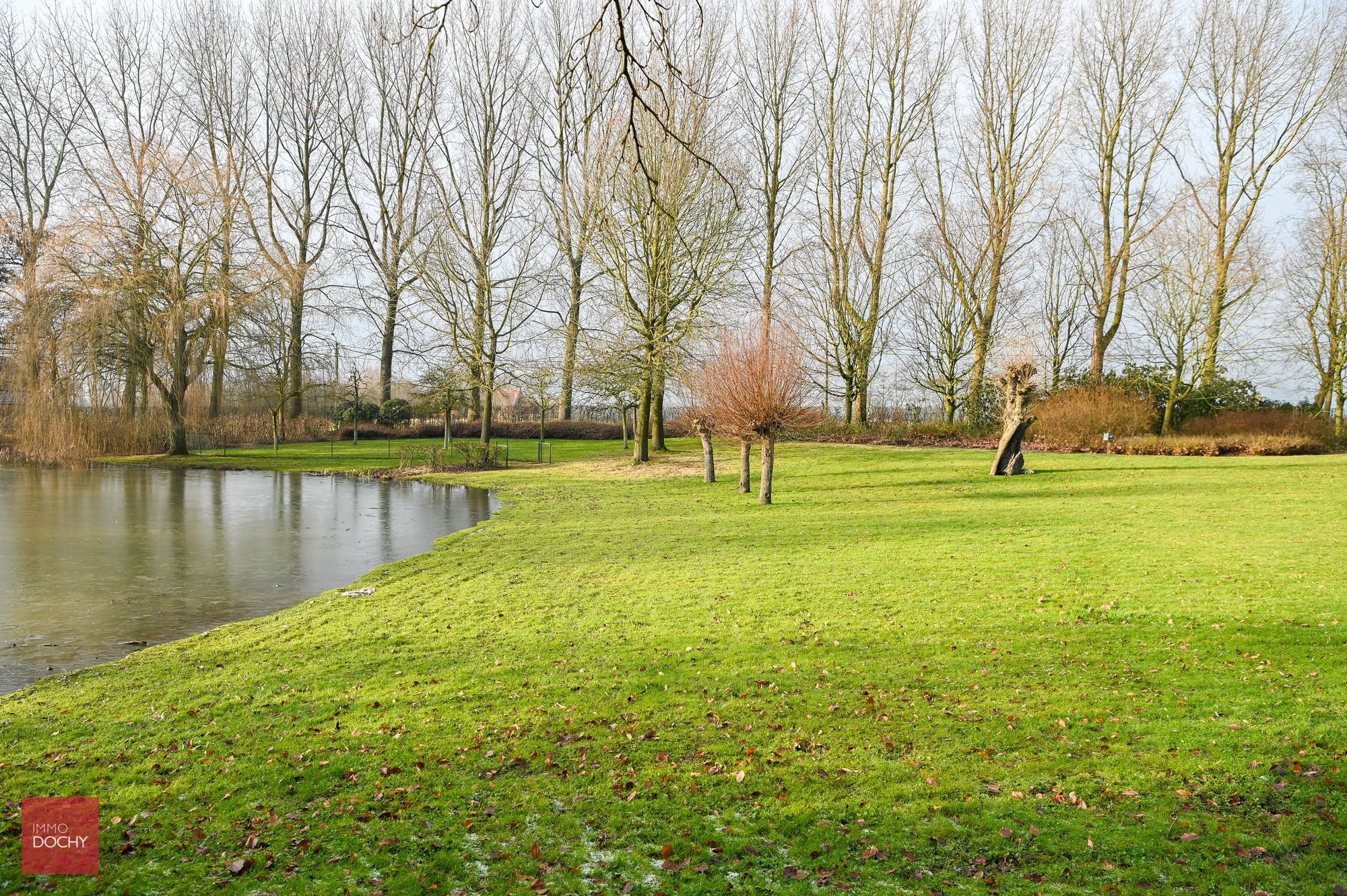 Ruim landhuis in prachtig domein van ca. 2ha foto 4