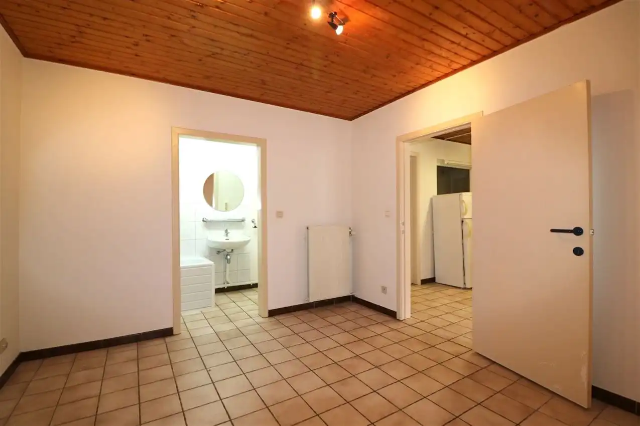 charmant, ruim, mogelijkheid beroep of kangoeroe foto 33