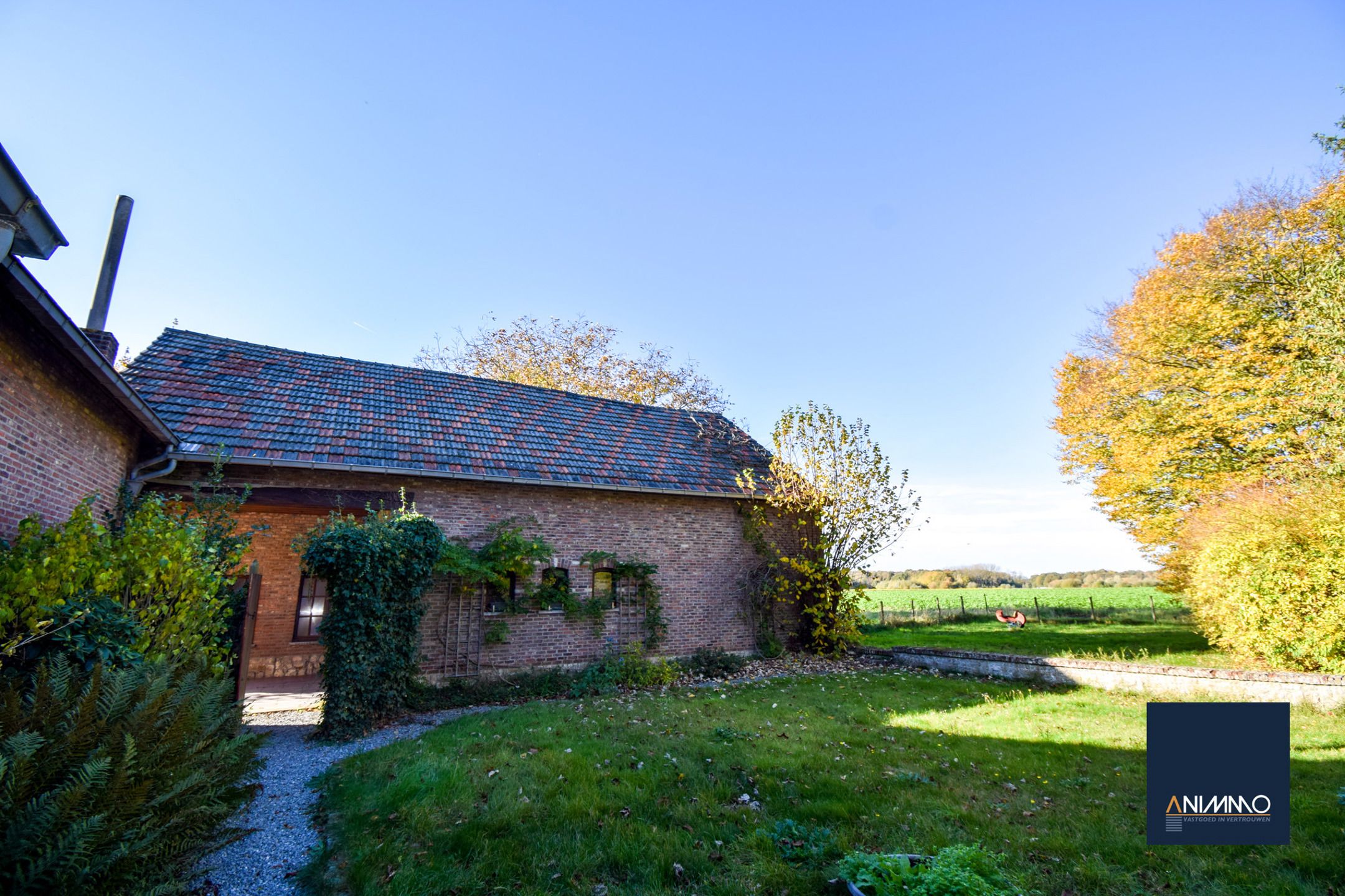 Boerderij te koop foto 41