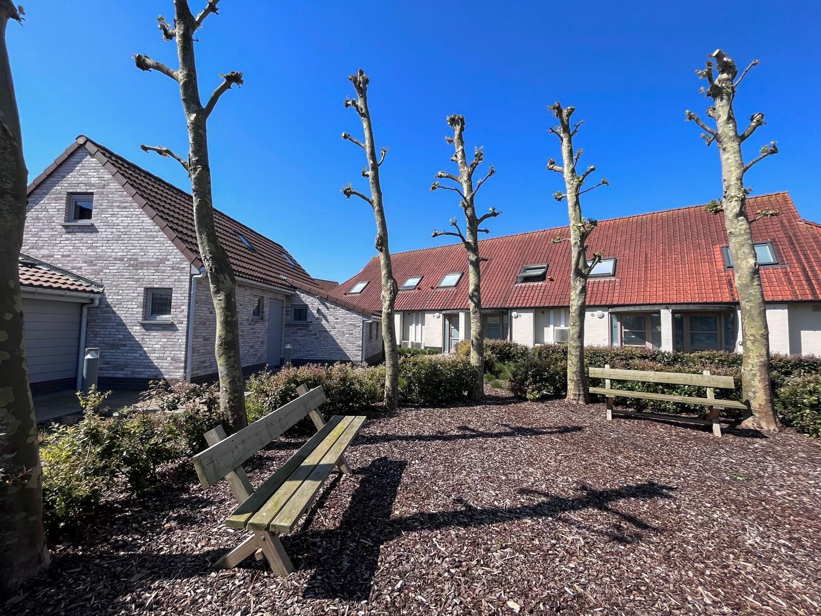 Vakantiewoning met zuid gerichte tuin op wandelafstand van de beschermde duinen  foto 15
