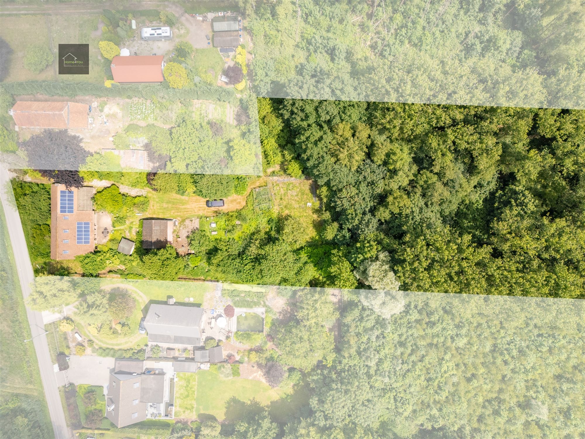 Wonen in het hart van de natuur – Alleenstaande villa op 8000 m² bosrijk domein in Stekene foto 3