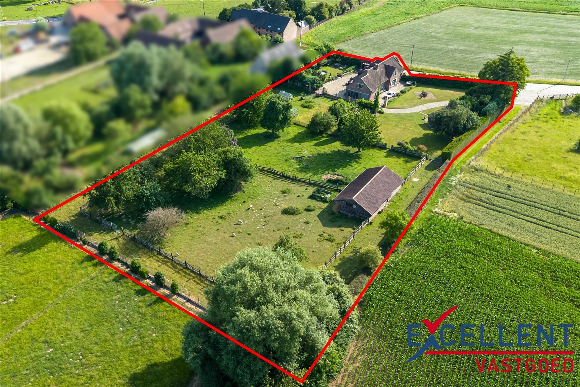 Karaktervolle villa met weides en stallen te koop foto 2