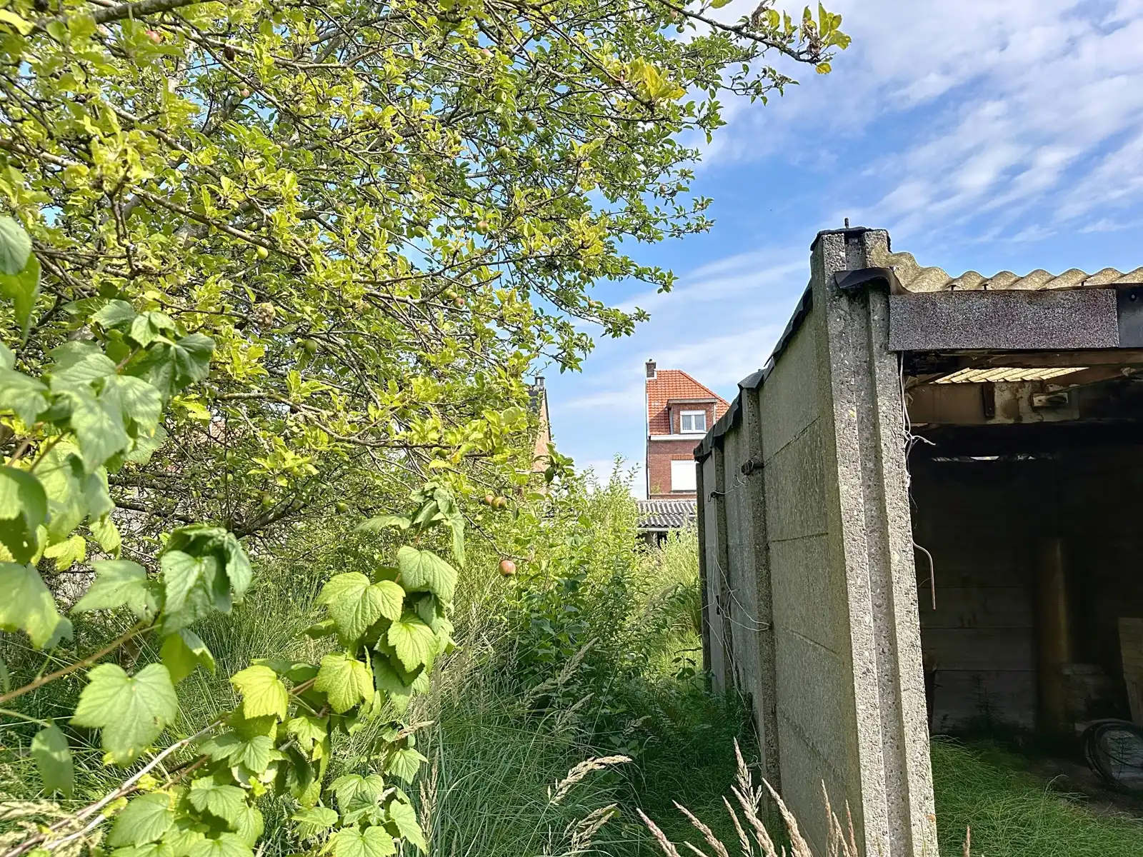 Centraal gelegen, te verbouwen woning. foto 5