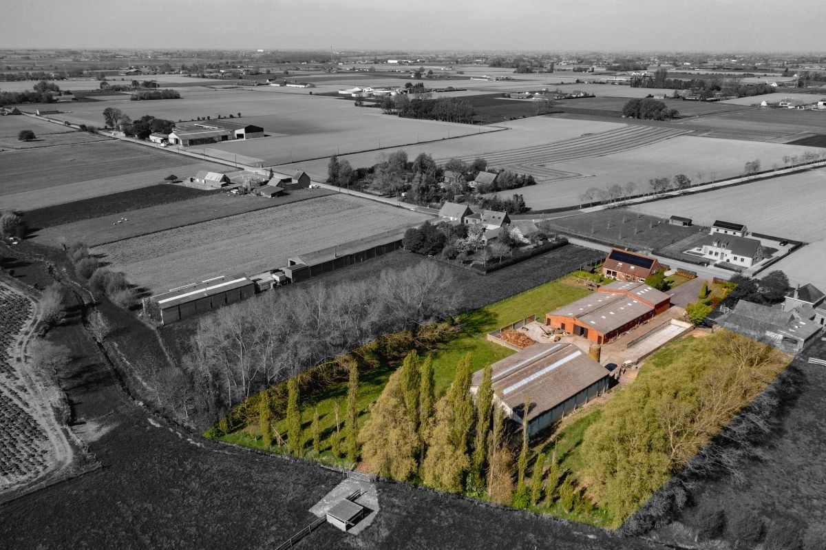 Hoeve met ruime stallen/loods te koop te Kortemark foto 4