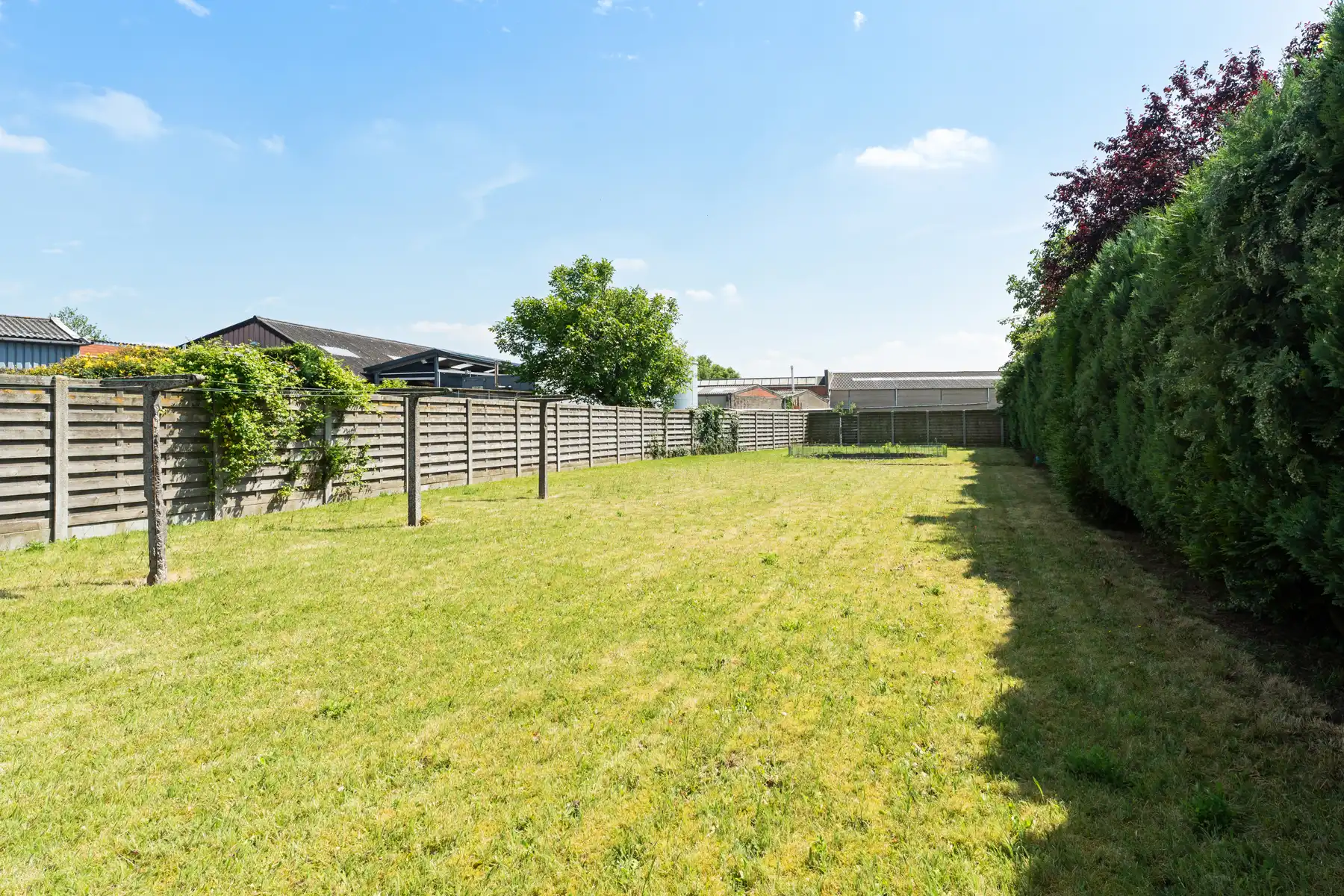 Ruime woning met diepe tuin in het centrum van Tielt  foto 4