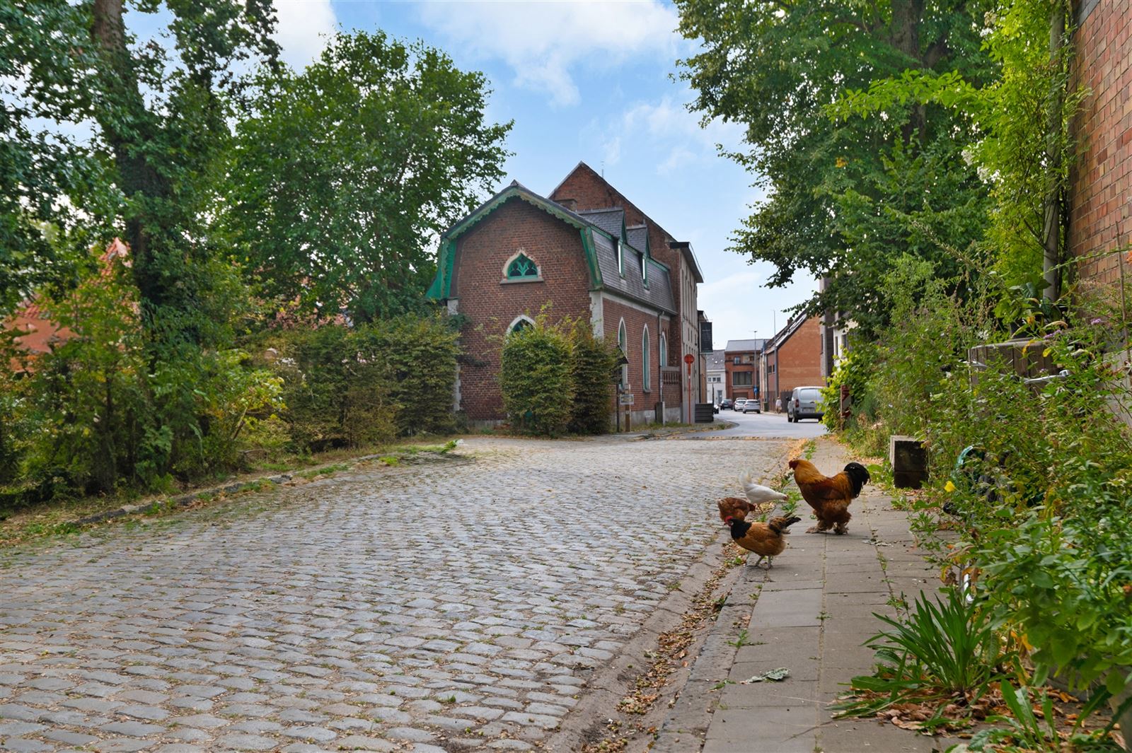 Kasteeldienstwoning te hartje Herzele foto 24