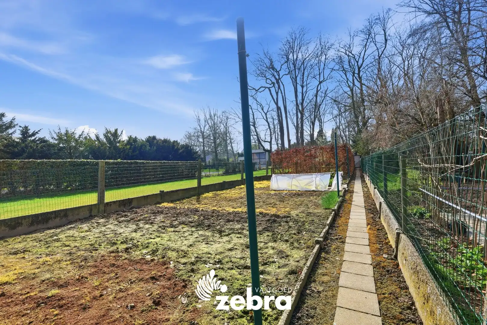 Woning met veel potentieel, 3 slaapkamers en ruime zolder in hartje Tielt! foto 24