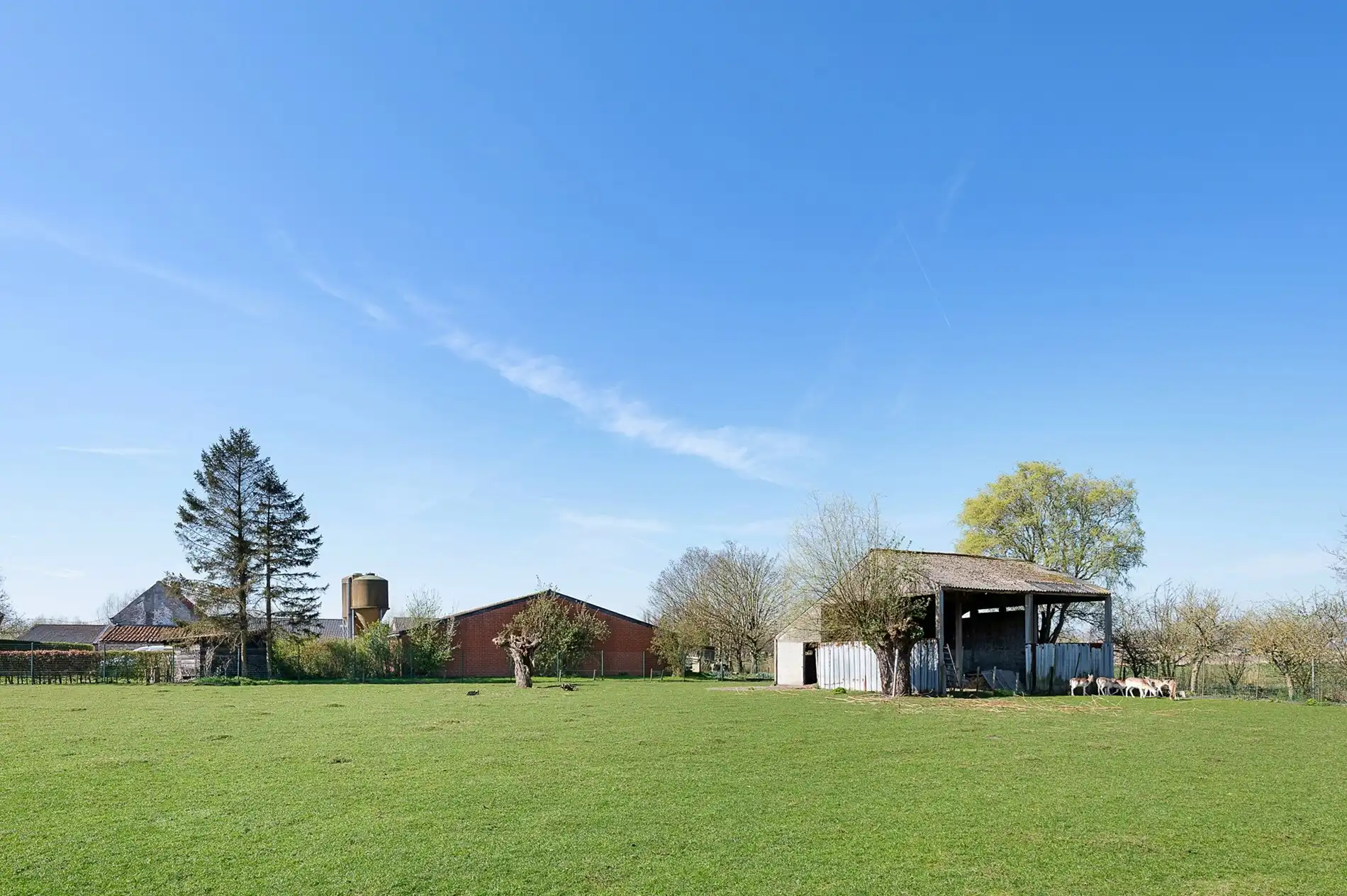 Hoeve schitterend gelegen te Damme foto 13