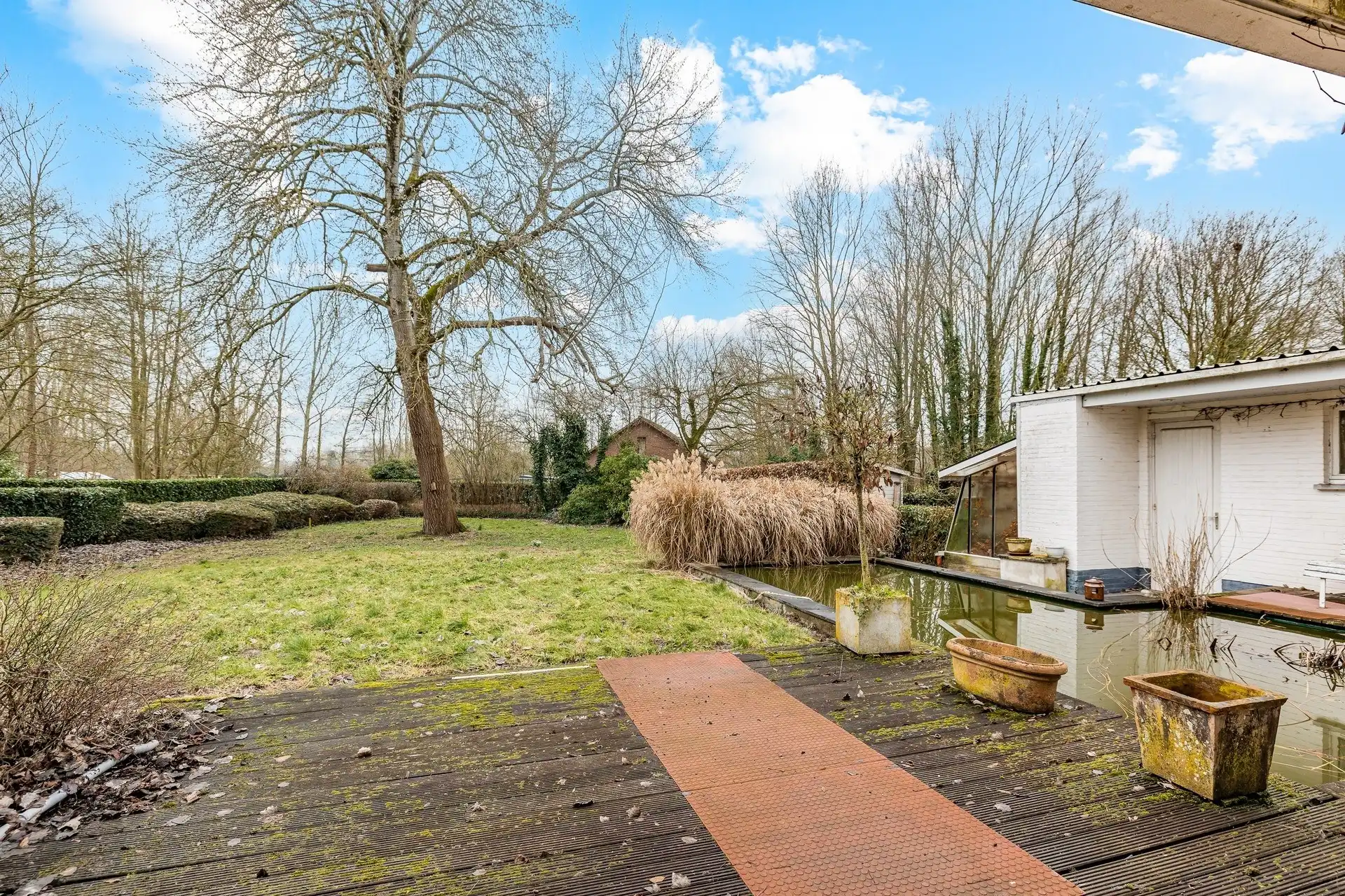 Karaktervolle open bebouwing op 1.094 m² met uitbreidingsmogelijkheden in Gijzegem foto 5