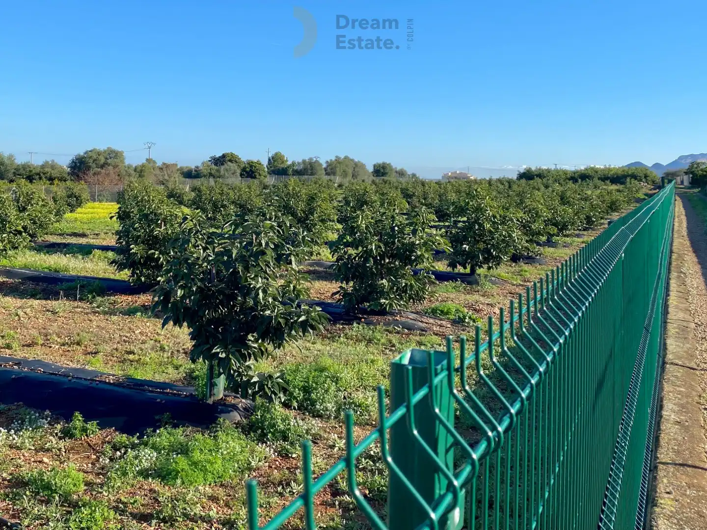 Villa Benidoleig – Exclusieve Nieuwbouwvilla met Avocadoplantage en Panoramisch Uitzicht Benidoleig, Costa Blanca foto 4