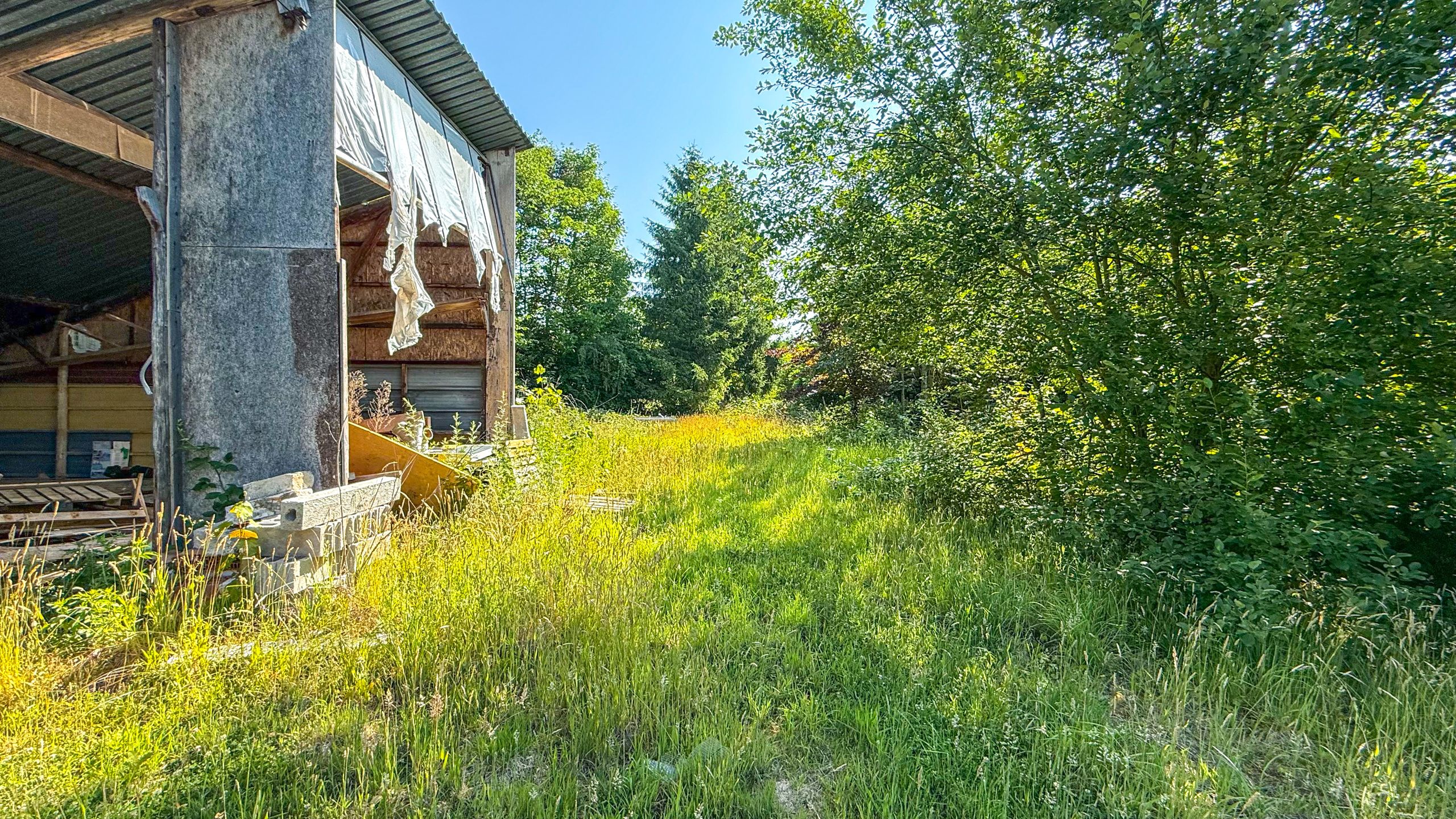 Vrijstaande woning met hangar en groot stuk grond-13.000m²! foto 38