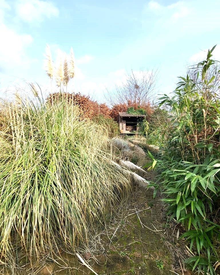 Uw vrouw zal u niet lang moeten missen... foto 14