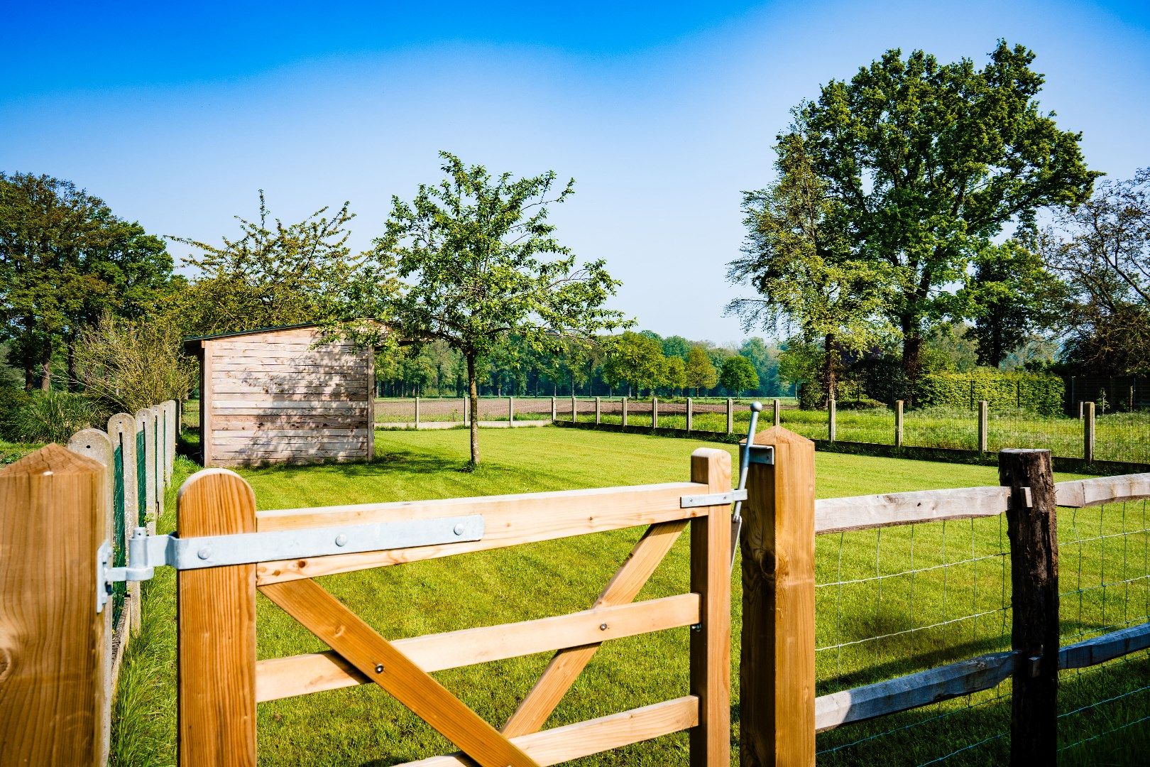 Woning met 3 slpks, tuin én stal  op 1.105 m² te lembeke foto 9