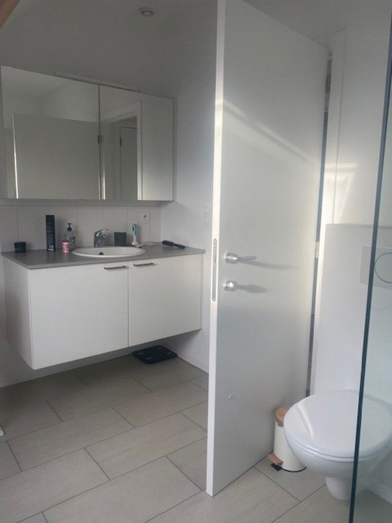 Lichtrijk dakappartement in het hart van Loenhout foto 7