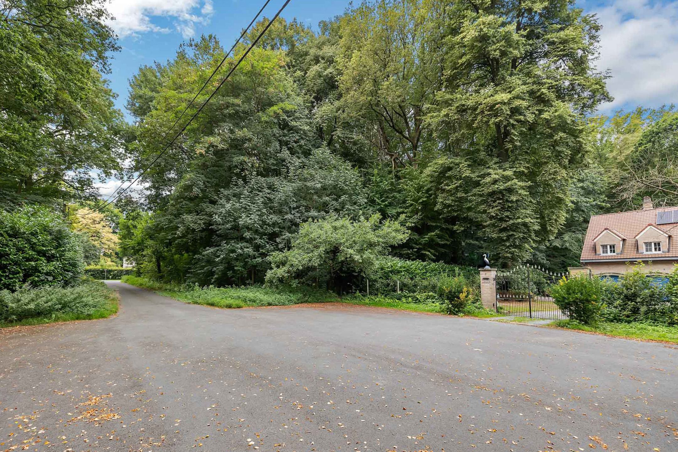 Exclusieve bouwgrond te koop in Lettelingen!  foto 6