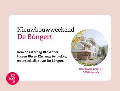 De Bóngert foto 9