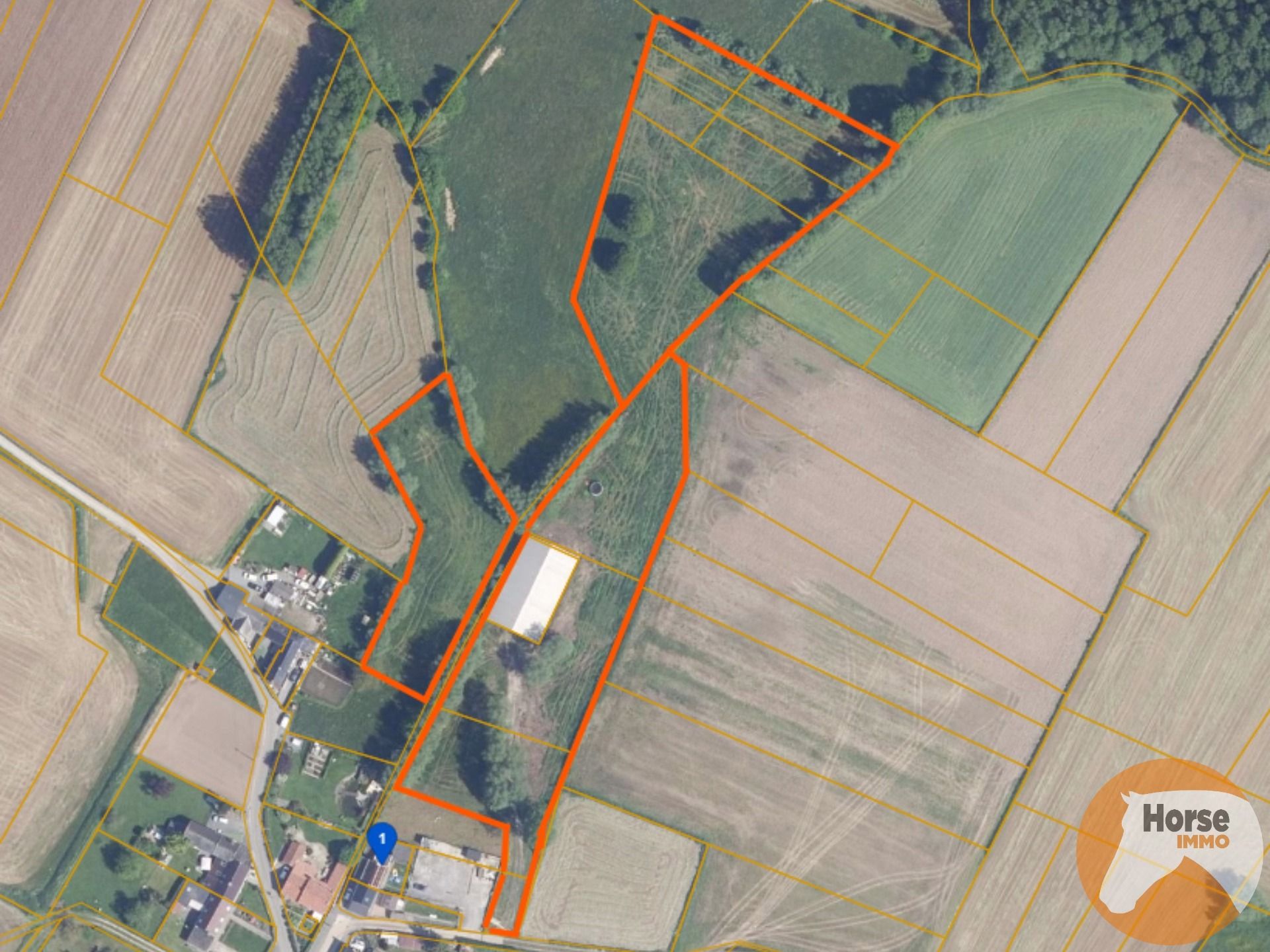 TOLLEMBEEK - Weide met loods op rustige locatie foto 16