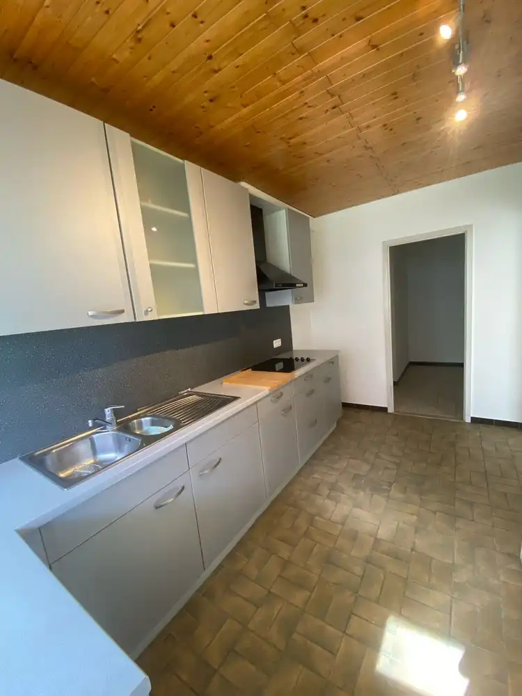 RUIM APPARTEMENT AAN DE STADSRAND foto 6