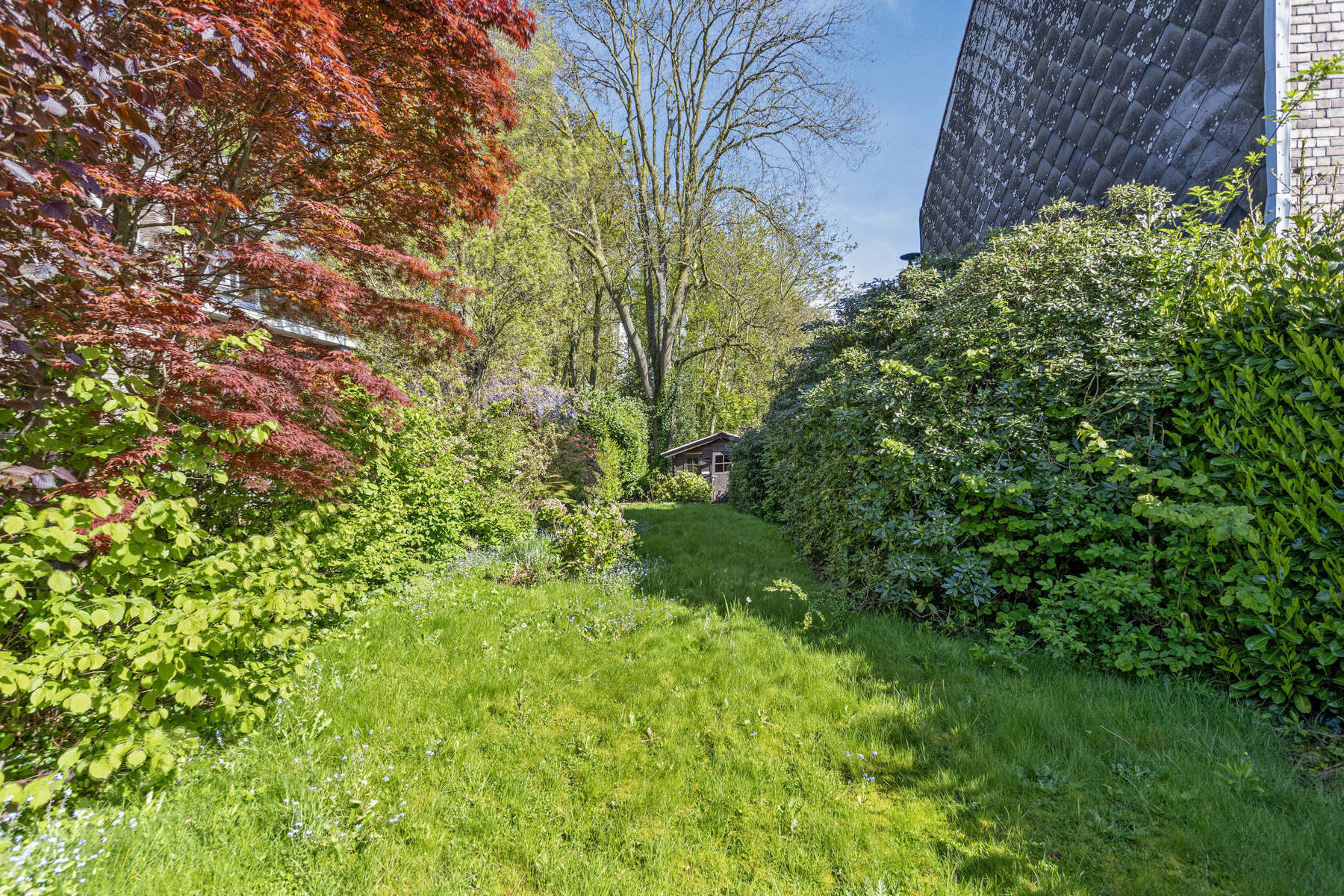 Centraal gelegen bouwgrond voor drie-gevel foto 3