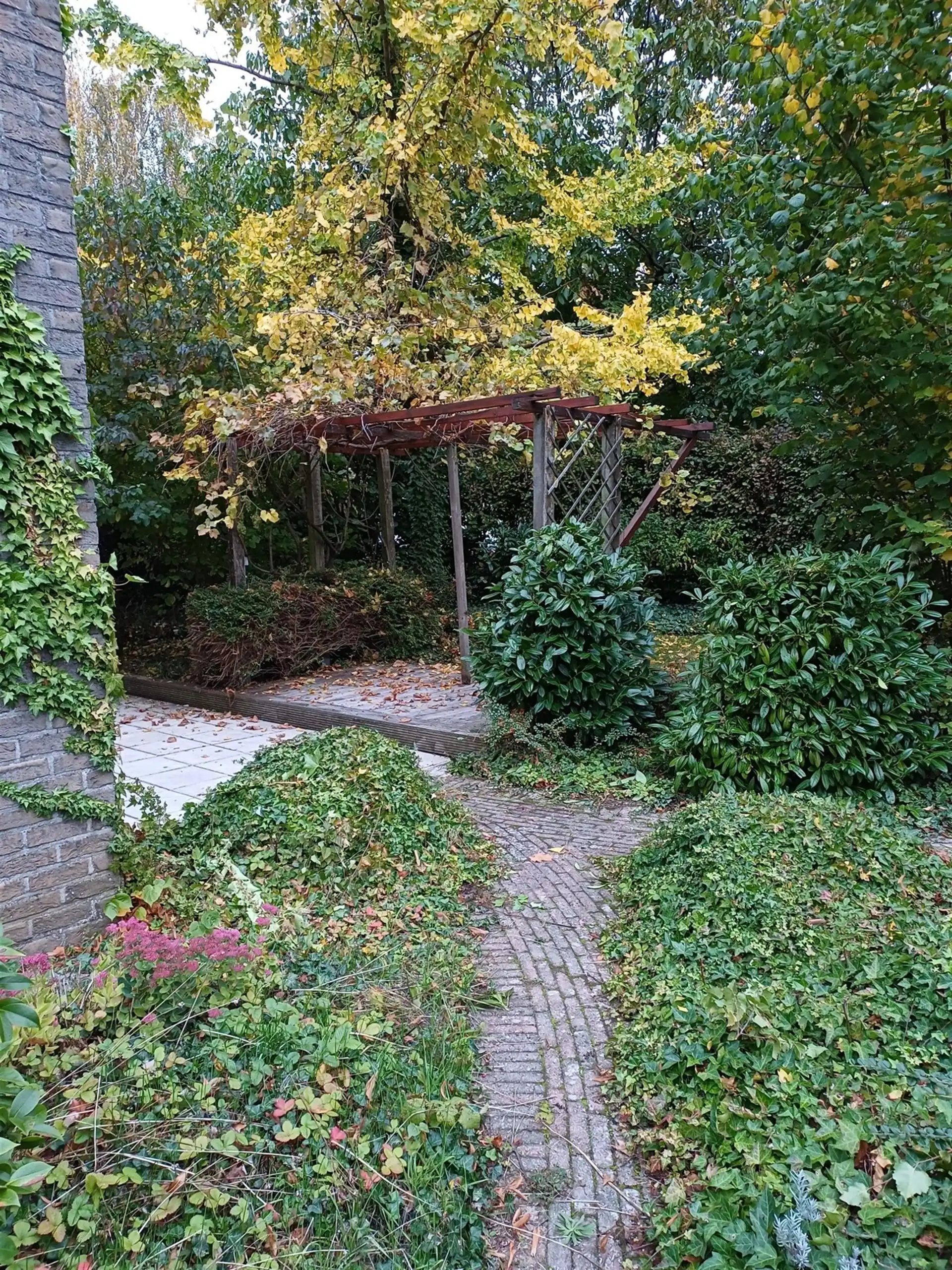 2 slaapkamer appartement met grote tuin foto 19