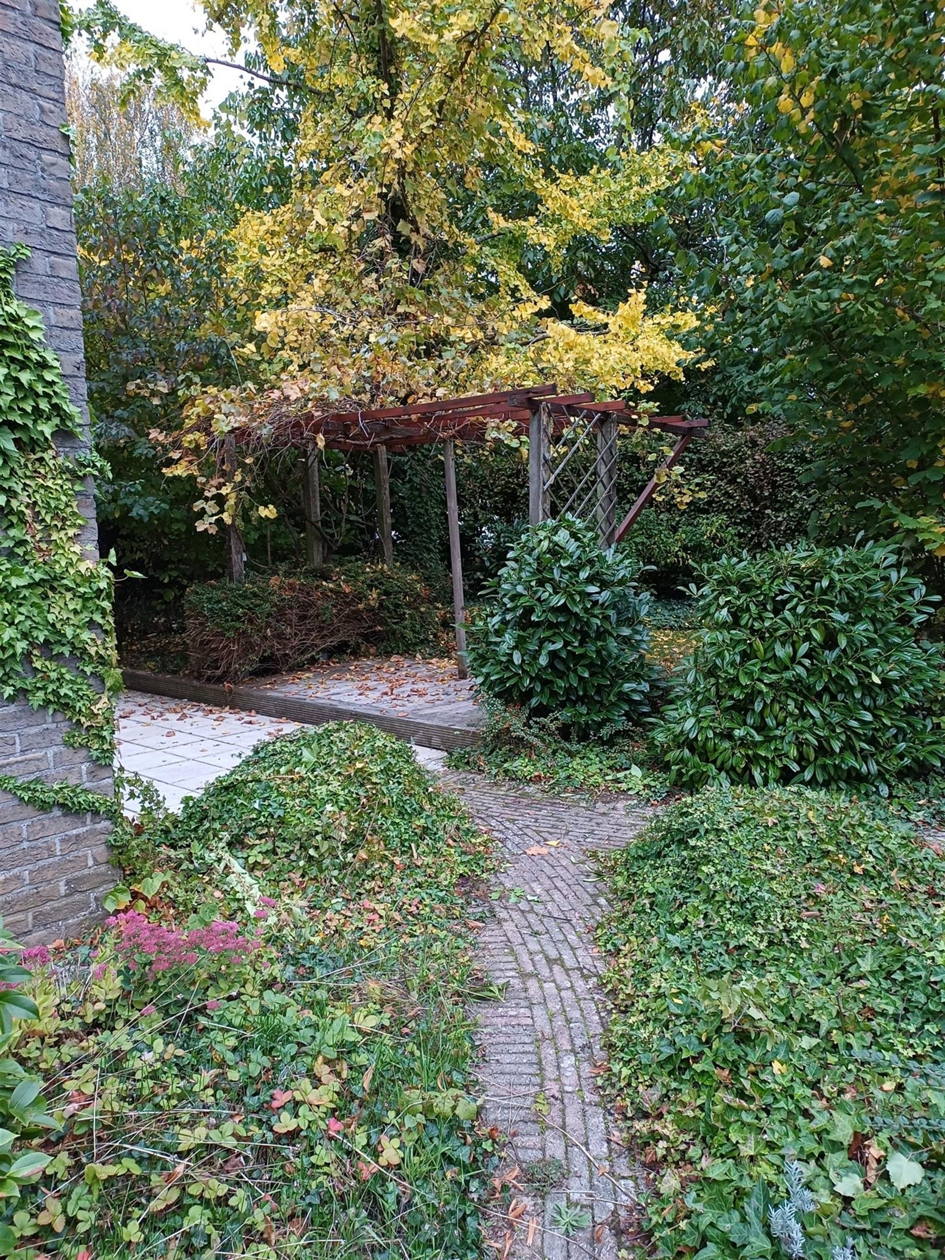 2 slaapkamers appartement met grote tuin foto 19