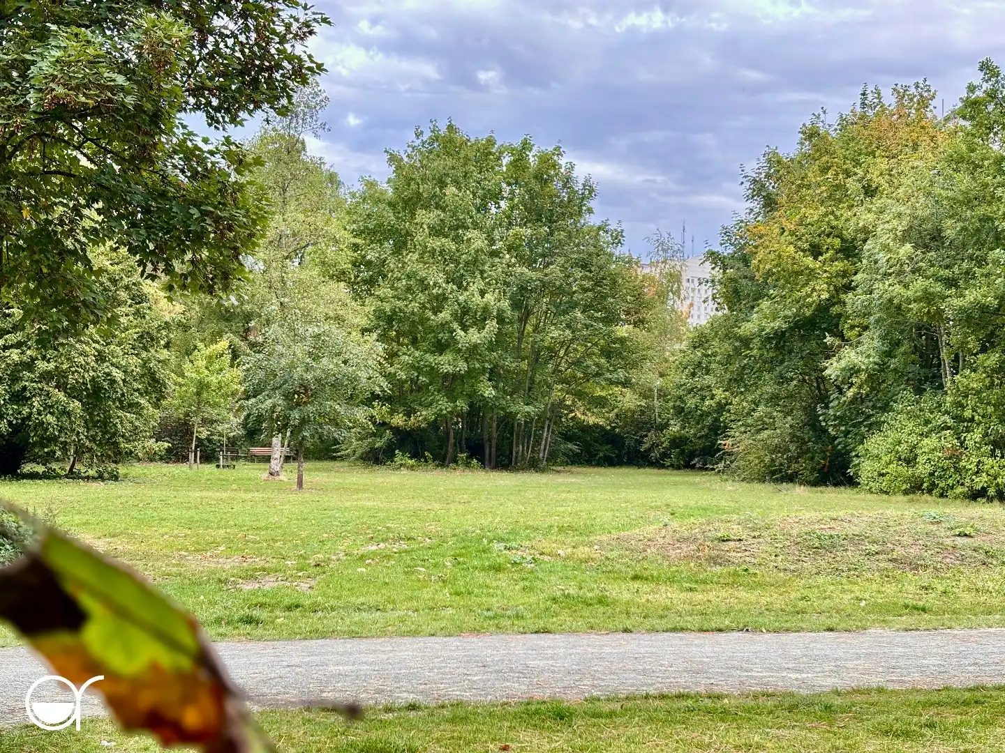 Gelijkvloers appartement met koer op gegeerde locatie foto 3