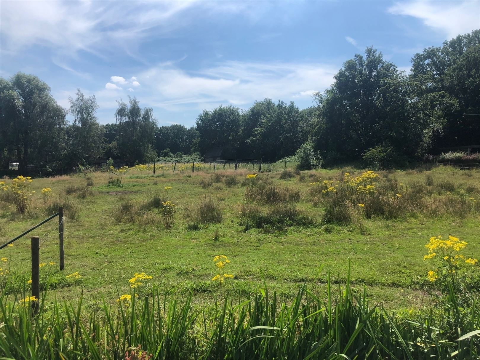 Half open bouwgrond aan het natuurgebied FORT VAN MERKSEM. foto 1