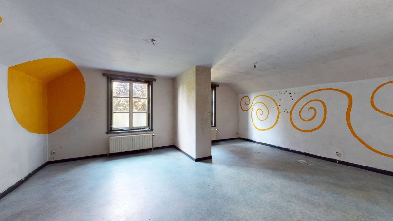 Rustig en gunstig gelegen te renoveren villa van 375m² op 48 are foto 12