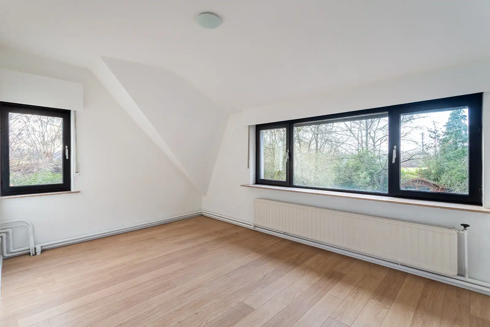 Uniek domein met villa, magazijn en uitgestrekte gronden foto 22