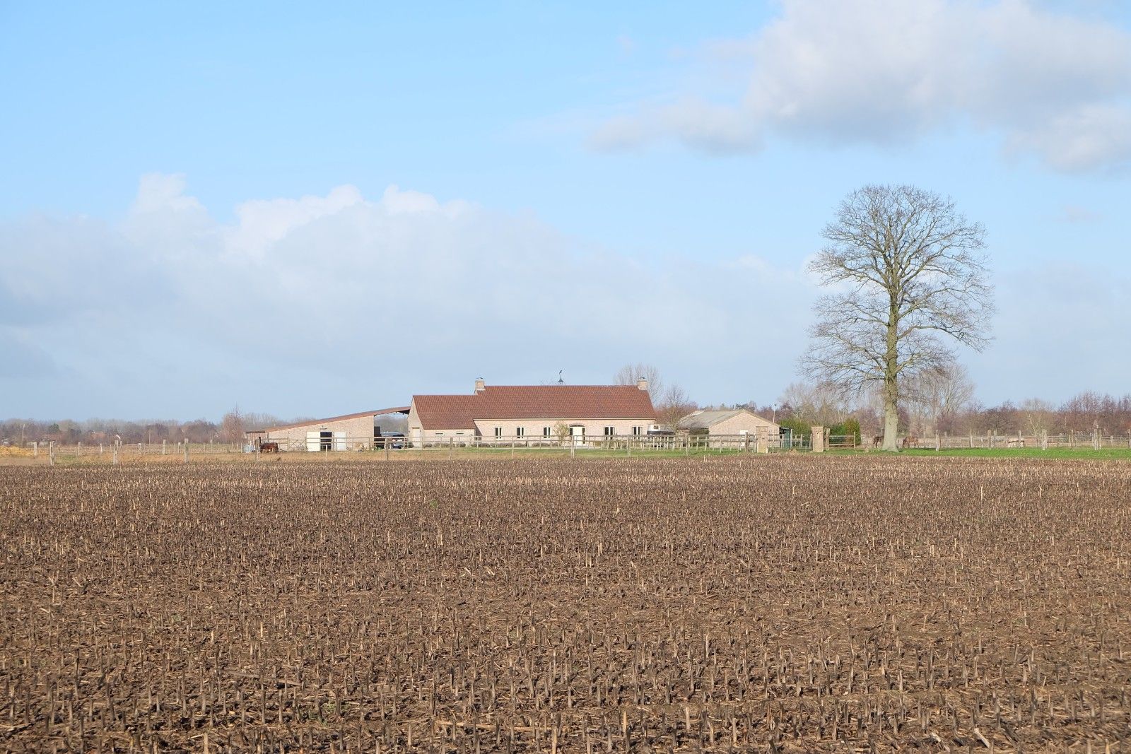 Hoeve met stallingen foto 2