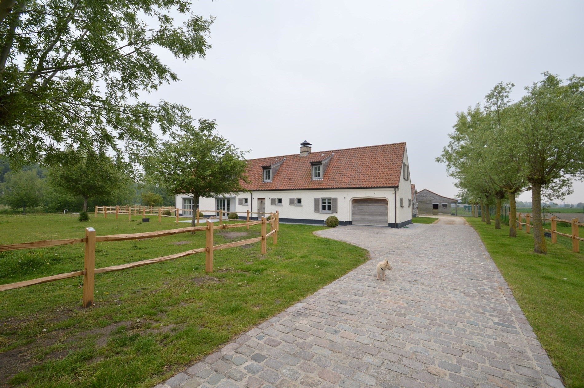Rustig gelegen hoeve: een buitenkans voor paardenliefhebbers foto 5