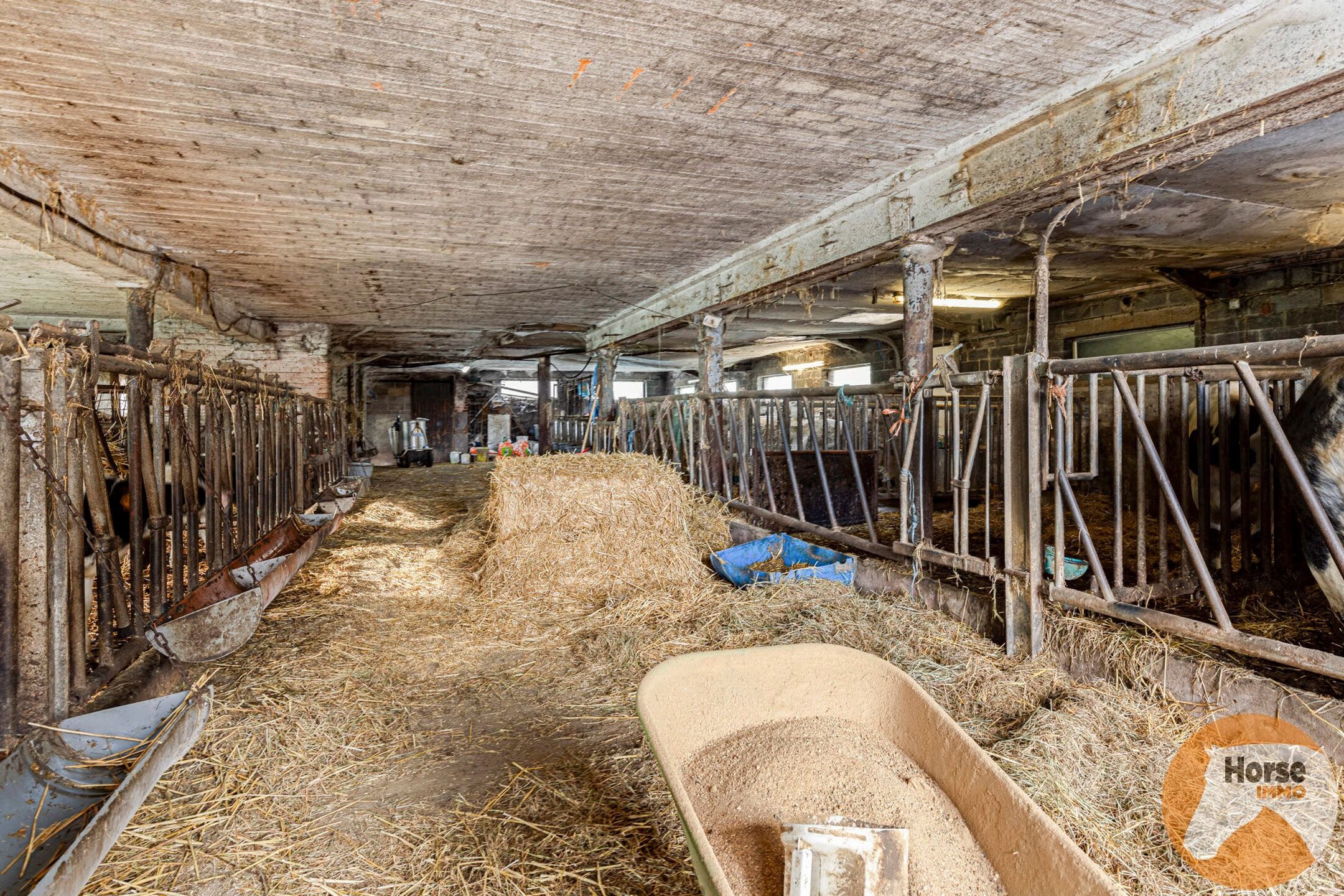 FRASNES-LES-BUISSENAL - Landbouwbedrijf op 1,9HA foto 38