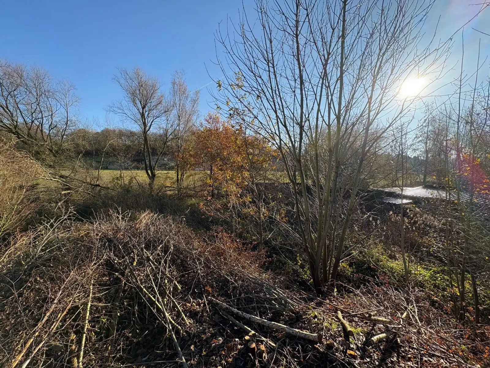 Grond te koop Geebroek - 3700 Tongeren