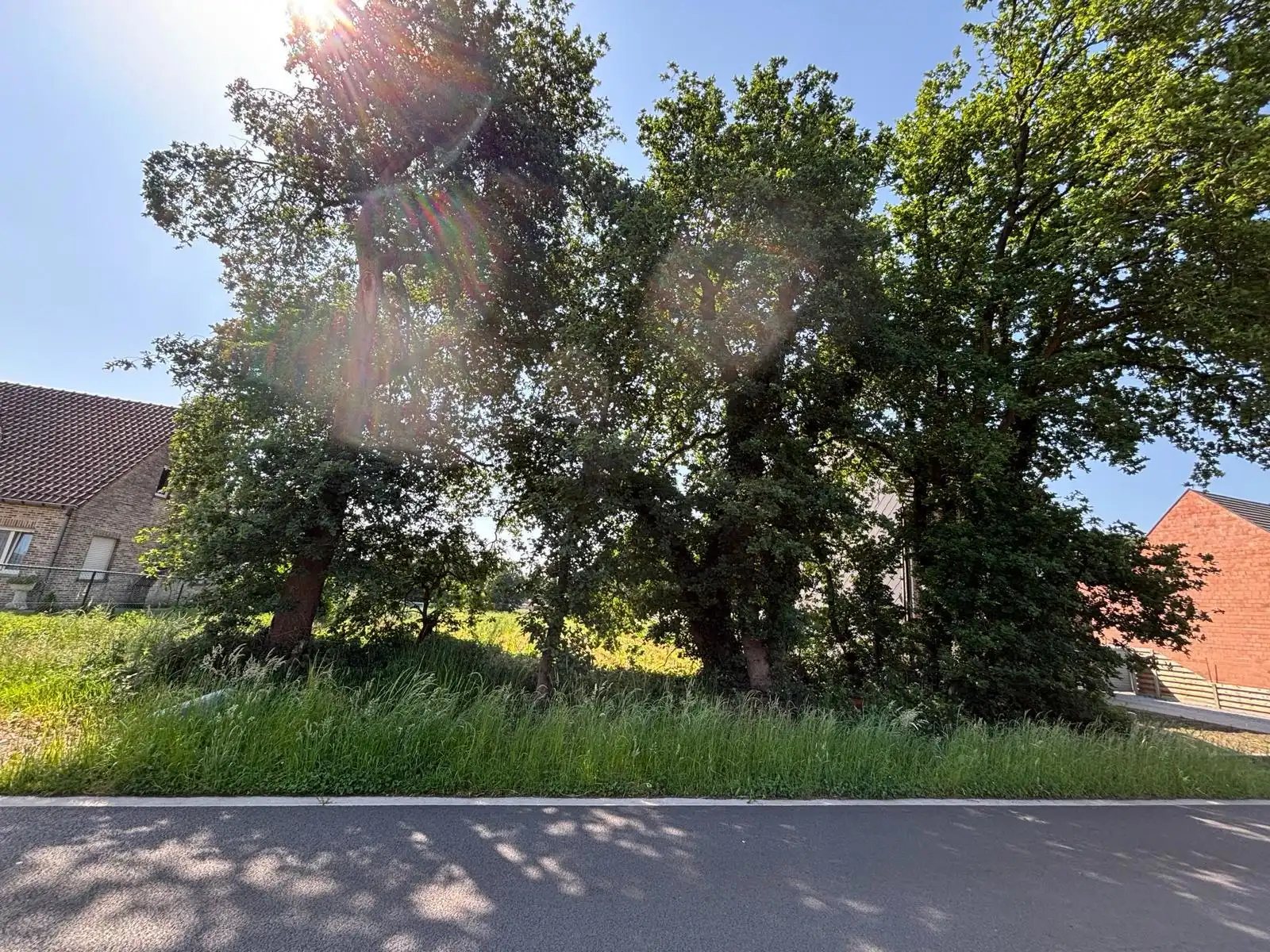 Bouwgrond HOB ca. 1279 m² gelegen te Balen, Hulsen foto 3
